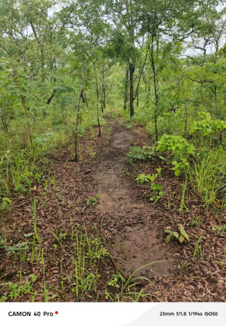 leopards-hill-four-4-acre-landsubdivision-per-acresale60000-big-3