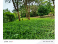 leopards-hill-areanear-monkey-poolland-for-sale2acres-135000-small-0