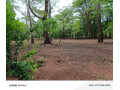 leopards-hill-areanear-monkey-poolland-for-sale2acres-135000-small-2