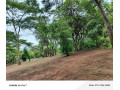 leopards-hill-areanear-monkey-poolland-for-sale2acres-135000-small-4