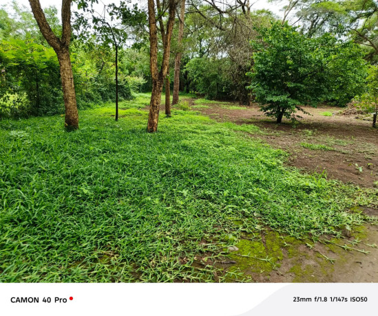 leopards-hill-areanear-monkey-poolland-for-sale2acres-135000-big-1