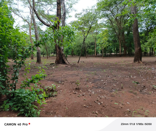 leopards-hill-areanear-monkey-poolland-for-sale2acres-135000-big-2