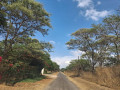 3-acres-serviced-plot-mukamunya-est-off-leopard-hill-rd-165000-small-4