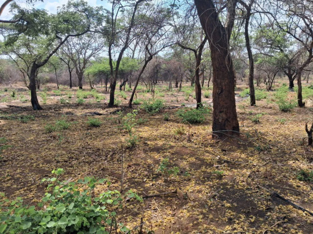 3-acres-serviced-plot-mukamunya-est-off-leopard-hill-rd-165000-big-2