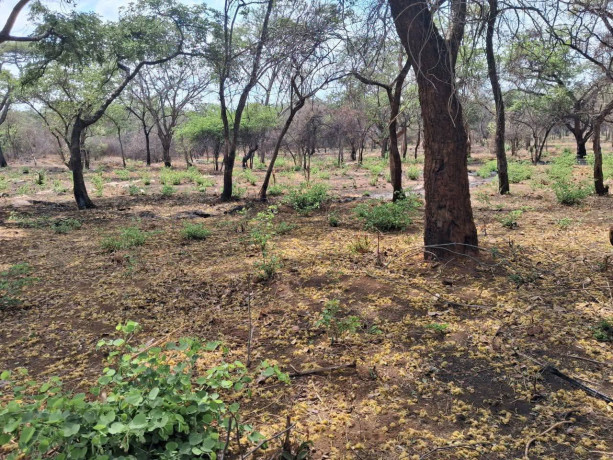 3-acres-serviced-plot-mukamunya-est-off-leopard-hill-rd-165000-big-3